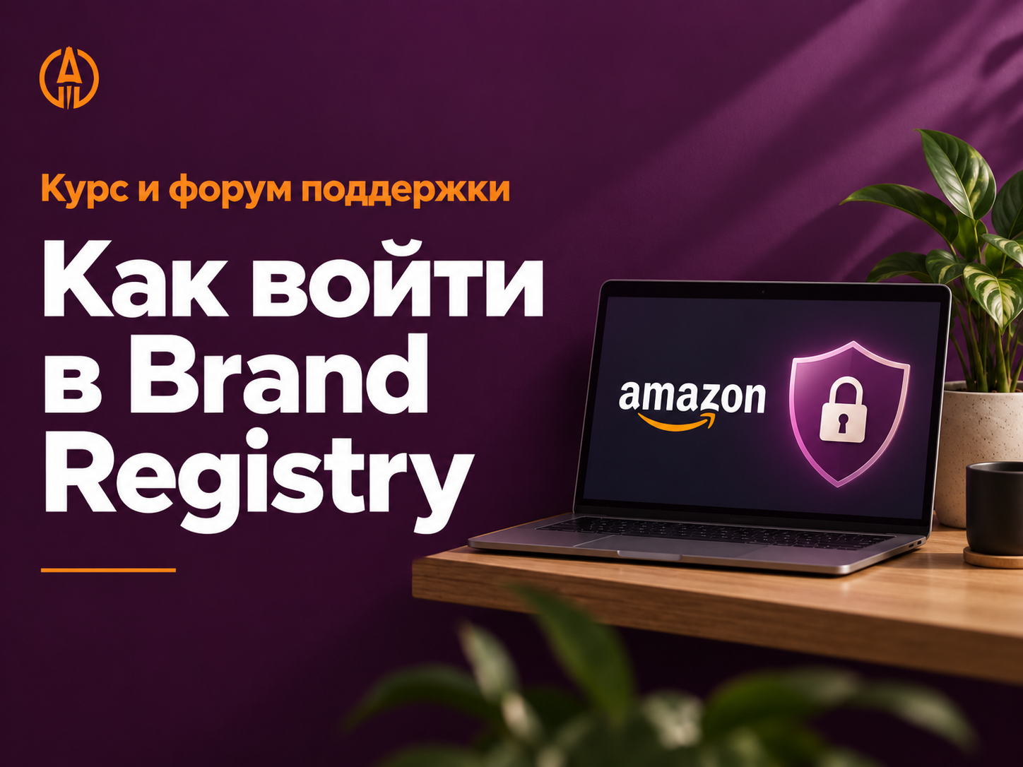 Как войти в Brand Registry